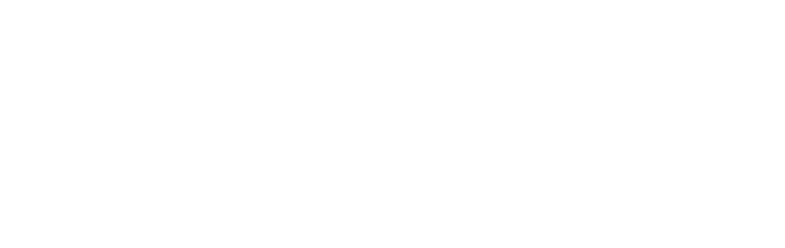 Waggon Logo